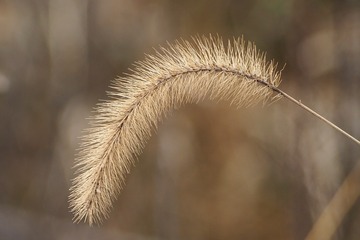 3766