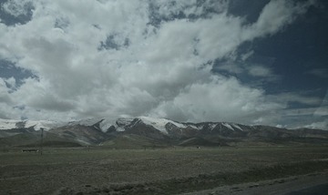 1000066067
