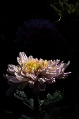D051CA97-4522-4759-A059-B0FEB7C64A64/L0/001