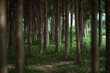 _DSC0341