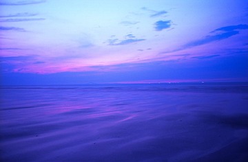 Untitled-1s.jpg