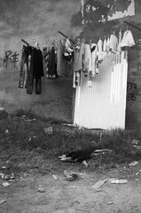 Untitled-12.jpg