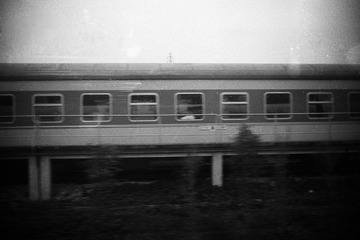 IMG2283s.jpg