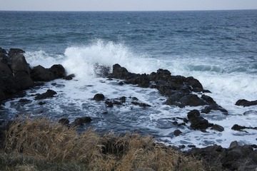 SAM_1160.JPG