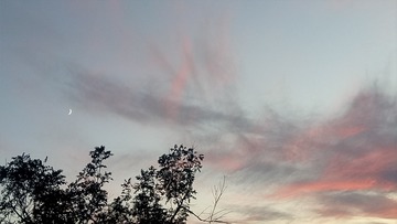 2781643