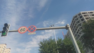 2781646