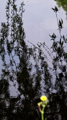 1000031258