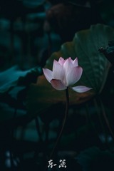 001