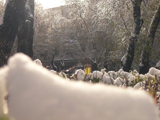 1000153124