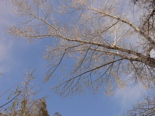 1000153122