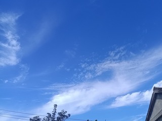 88063