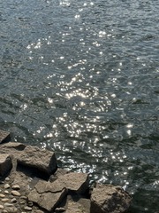 1C700EB4-D342-4239-976D-C604DA3732E1/L0/001