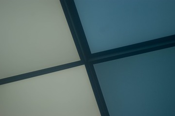 1000018539
