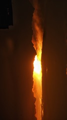 309521