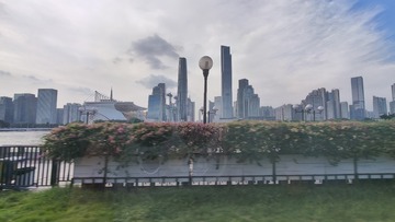 1000012736