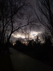 557066