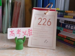206574