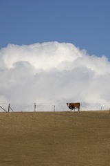 8B792090-E65F-49E2-BF81-84C2097A04CE/L0/001