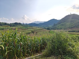 1000003810