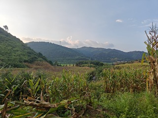 1000003827