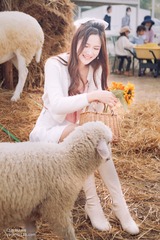 0F3B7D39-2753-49DD-97FB-066076783B60/L0/001