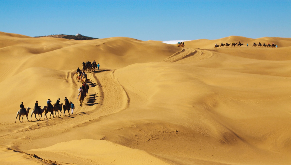 沙漠骆驼队