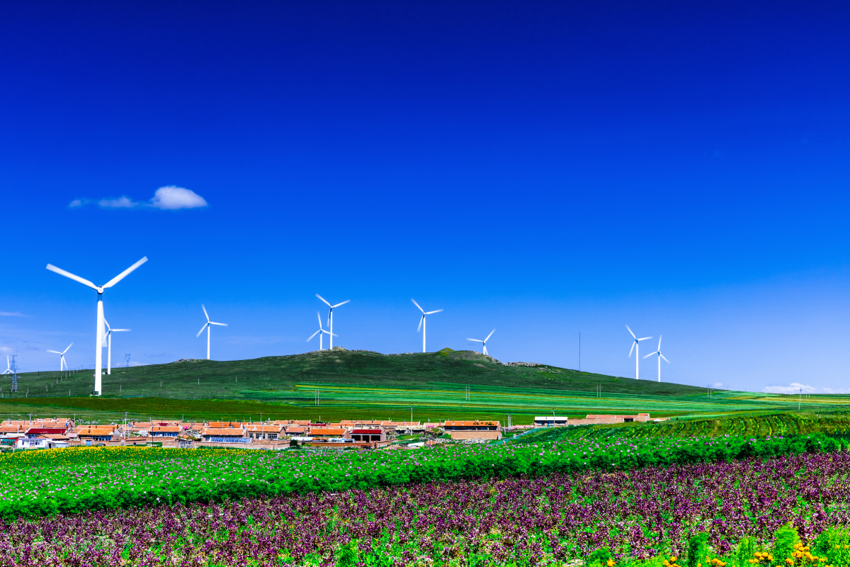 辉腾锡勒大草原风景.