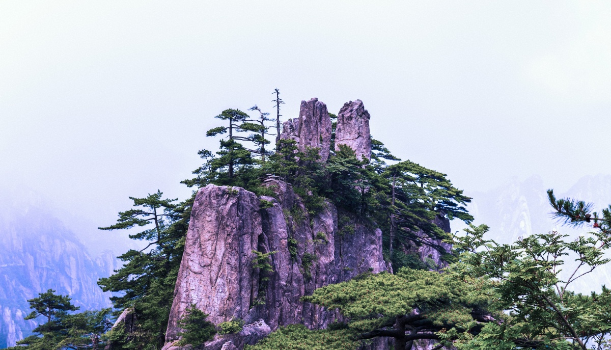 黄山风景黄山松