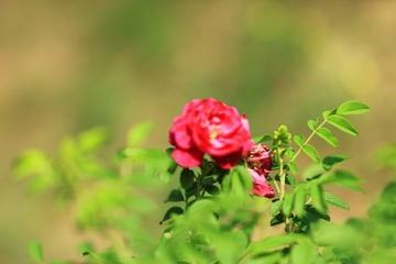 0T9A7760