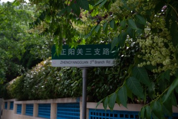 1000086164