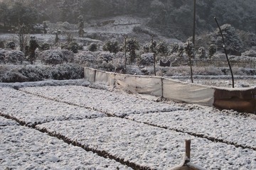 201104.JPG