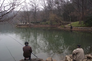 DSCF0201.JPG