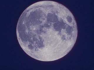 195070