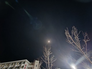 1000012130