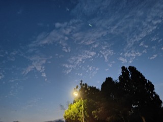 1000028333