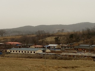 477841