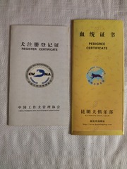 498649