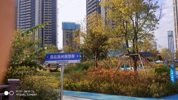 73620