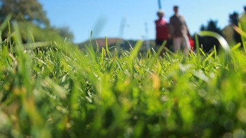 IMG_3599.JPG