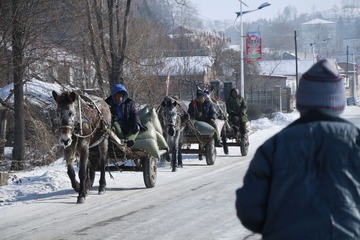 _MG_8583.jpg