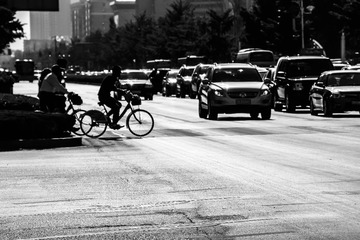 _MG_0313.jpg