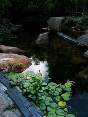 DSCF5312.jpg