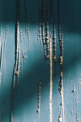 1000085366