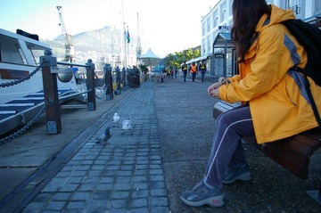 IMGP3621.JPG