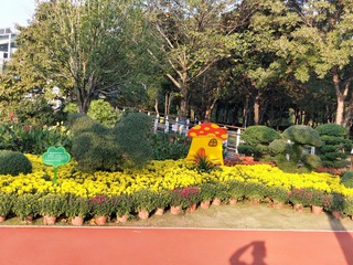 5080482