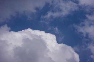 _7CH0650