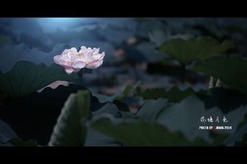 _7CH5327B