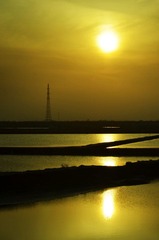 QJN_99571.jpg