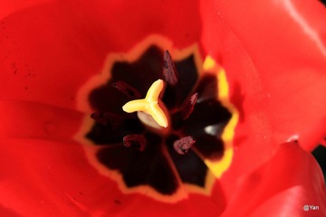 IMG_4940.JPG