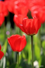IMG_4944.JPG